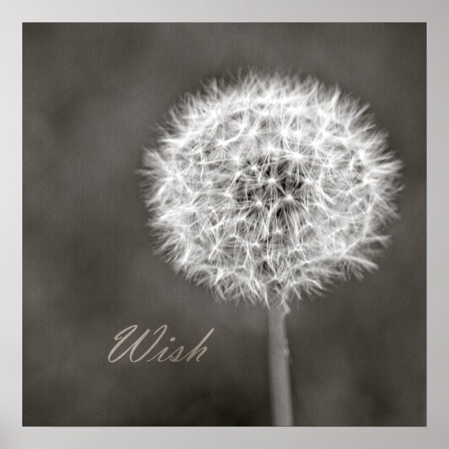 Póster Inspired Wish Dandelion (Frente)