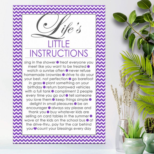 Póster Instrucciones Moradas de la Vida (Subido por el creador)