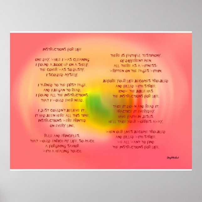 PÓSTER INSTRUCCIONES PARA LA VIDA (Frente)