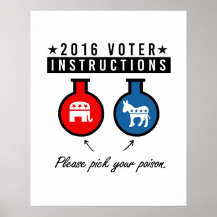 Póster INSTRUCCIONES PARA VOTANTES 2016 - Elige tu opción
