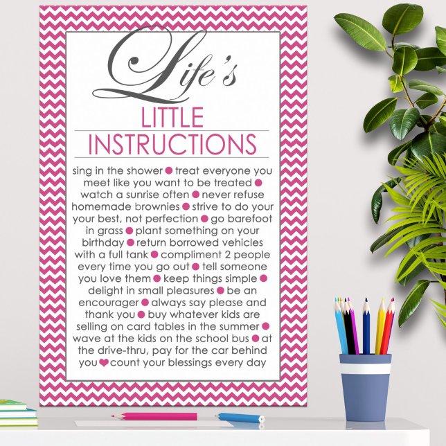 Póster Instrucciones Pequeñas de la Vida Rosa (Subido por el creador)