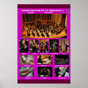 Póster instrumentos orquesta I Instruments Orchestra I