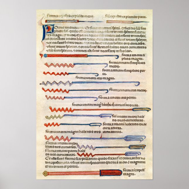 Póster Instrumentos quirúrgicos de un tratado (Frente)
