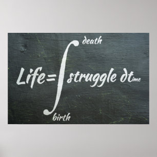 Póster Integral de la vida - Poster de matemáticas