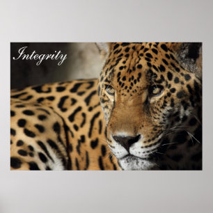 Póster Integridad