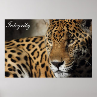 Póster Integridad