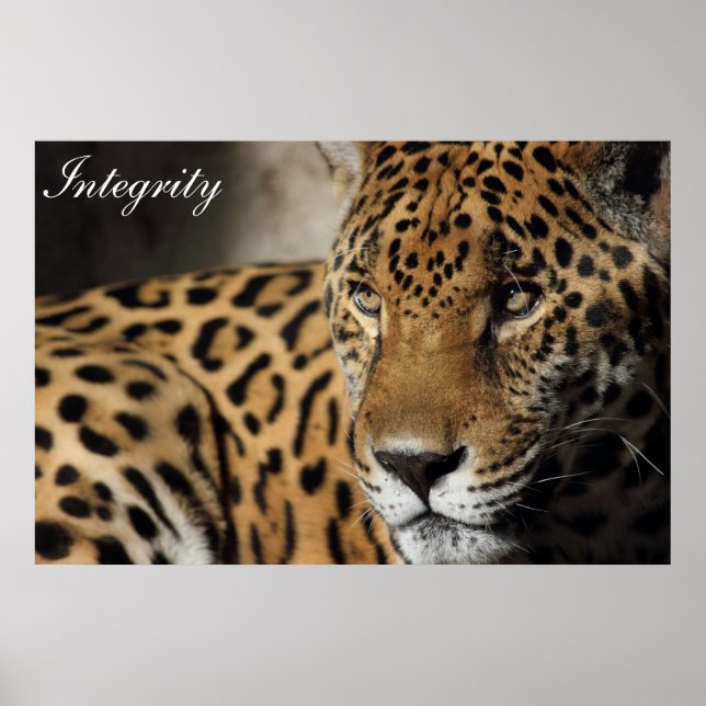 Póster Integridad (Frente)