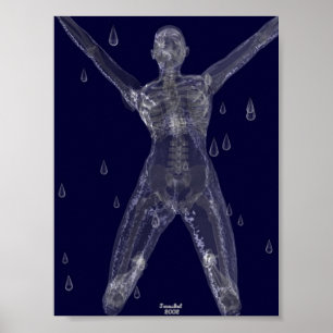 Póster Intenciones crueles