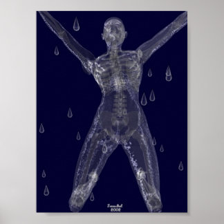 Póster Intenciones Crueles