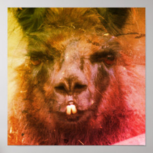 Póster Intensa Llama Negra Face Close Resumen
