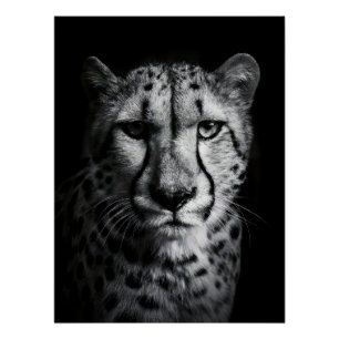 Póster Intense Black and White Cheetah Portrait
