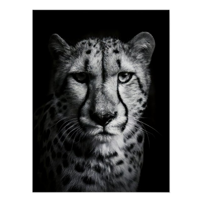 Póster Intense Black and White Cheetah Portrait (Anverso)