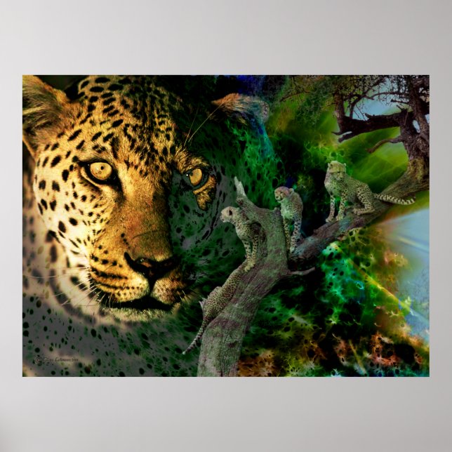 Póster Intensidad de vigilancia (Frente)