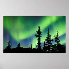 Póster Intenso Aurora borealis sobre taiga de abeto negro