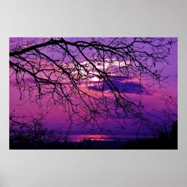 Póster Intenso y Viviente - Paisaje Morado del Amanecer (Frente)