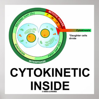 Póster Interior citocinético (Mitosis de la División del