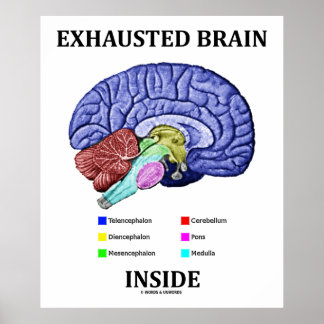 Póster Interior del cerebro agotado (Humor cerebral anató