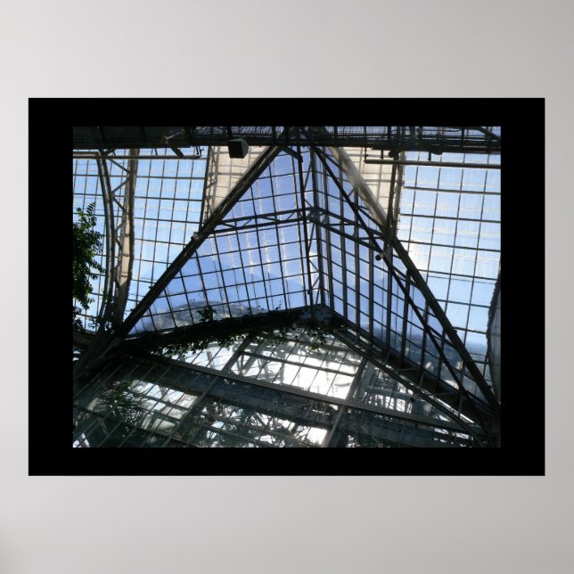 Póster interior (techo de invernadero) (Frente)