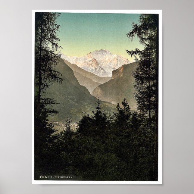 Póster Interlaken, hoteles, Bernese Oberland, Suiza. (Frente)
