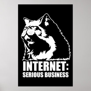 Póster Internet: Negocios serios (camiseta graciosa lolca