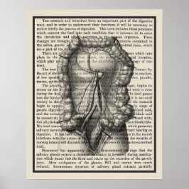Póster Intestines Anatomy Art Print #8 Medical Decor
