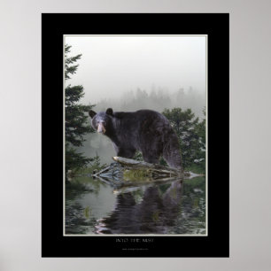 Póster "INTO THE MIST" Black Bear Poster