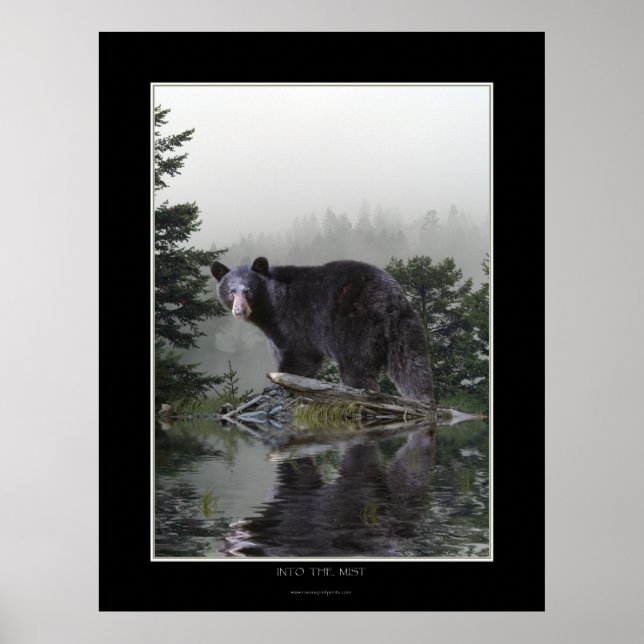 Póster "INTO THE MIST" Black Bear Poster (Frente)