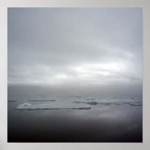 Póster Into The Mystic Poster