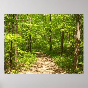 Póster Into the woods