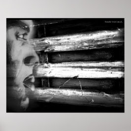 Póster Introducción