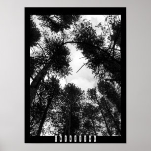 Póster Intuition Poster