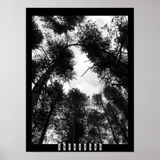 Póster Intuition Poster