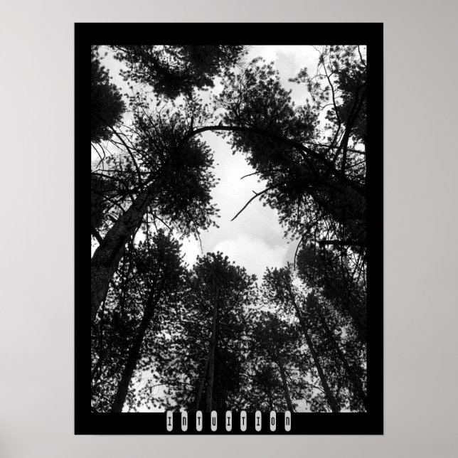 Póster Intuition Poster (Frente)