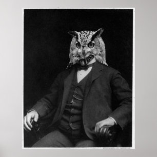 Póster Inventor del búho