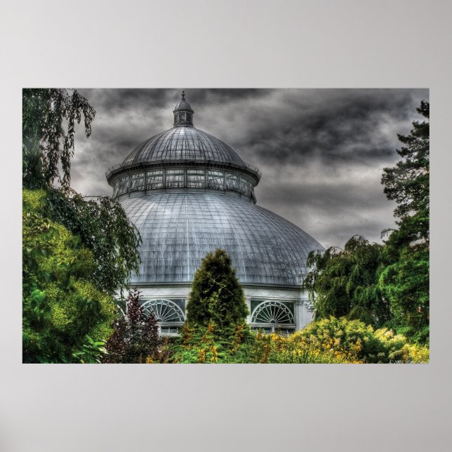 Póster Invernadero - El Observatorio (Frente)