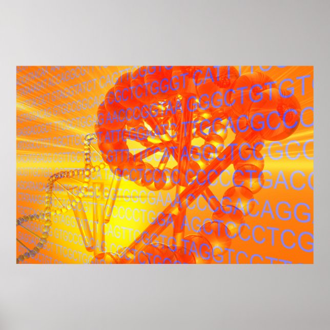 Póster Investigación genética (Frente)