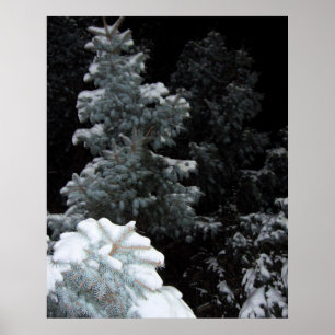 Póster Invierno