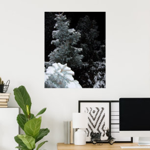 Póster Invierno