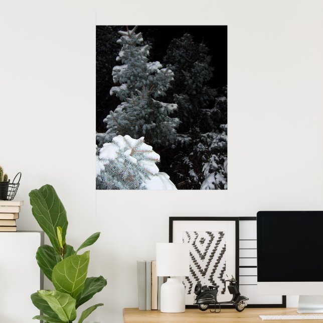 Póster Invierno (Oficina en casa)