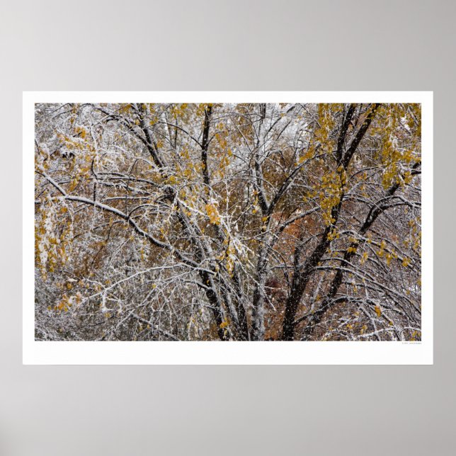 Póster Invierno (Frente)