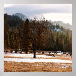 Póster Invierno.........
