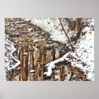 Póster Invierno - Armonía de la naturaleza