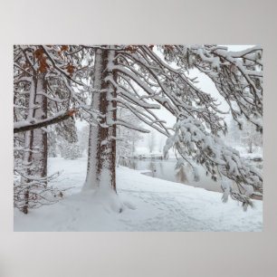 Póster Invierno Blanco