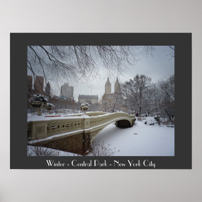 Póster Invierno - Central Park - Nueva York (Frente)