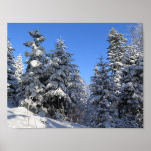 Póster Invierno de Beskids