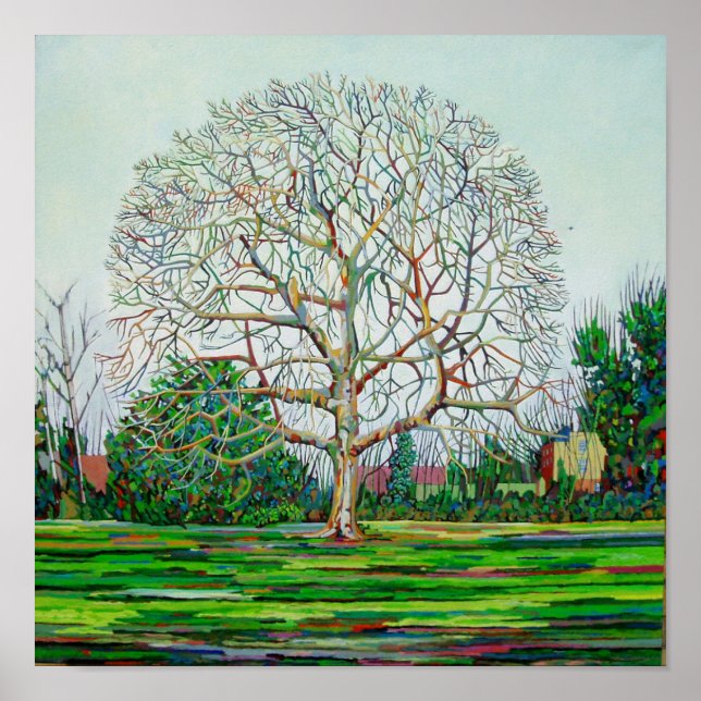 Póster Invierno de Bow Tree (Frente)