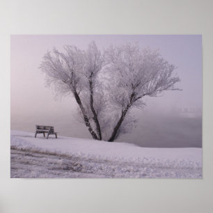 Póster Invierno de Oklahoma