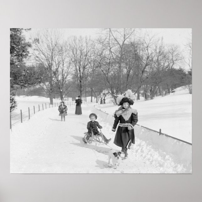 Póster Invierno en Central Park, 1900. Foto de cosecha de (Frente)