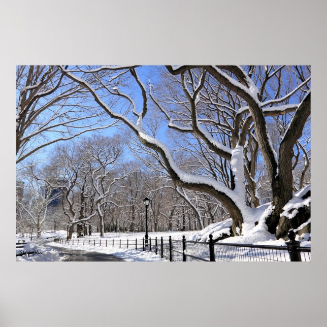 Póster Invierno en Central Park, Nueva York (Frente)