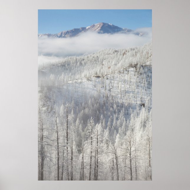Póster Invierno en el Bosque Nacional Pike (Frente)